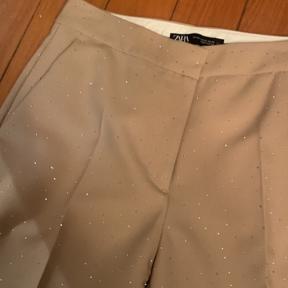 Sparkly Zara pants - Picture 8 of 11